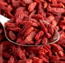 Dried goji berries on a spoon, an antioxidant berry in the SugarControl formula